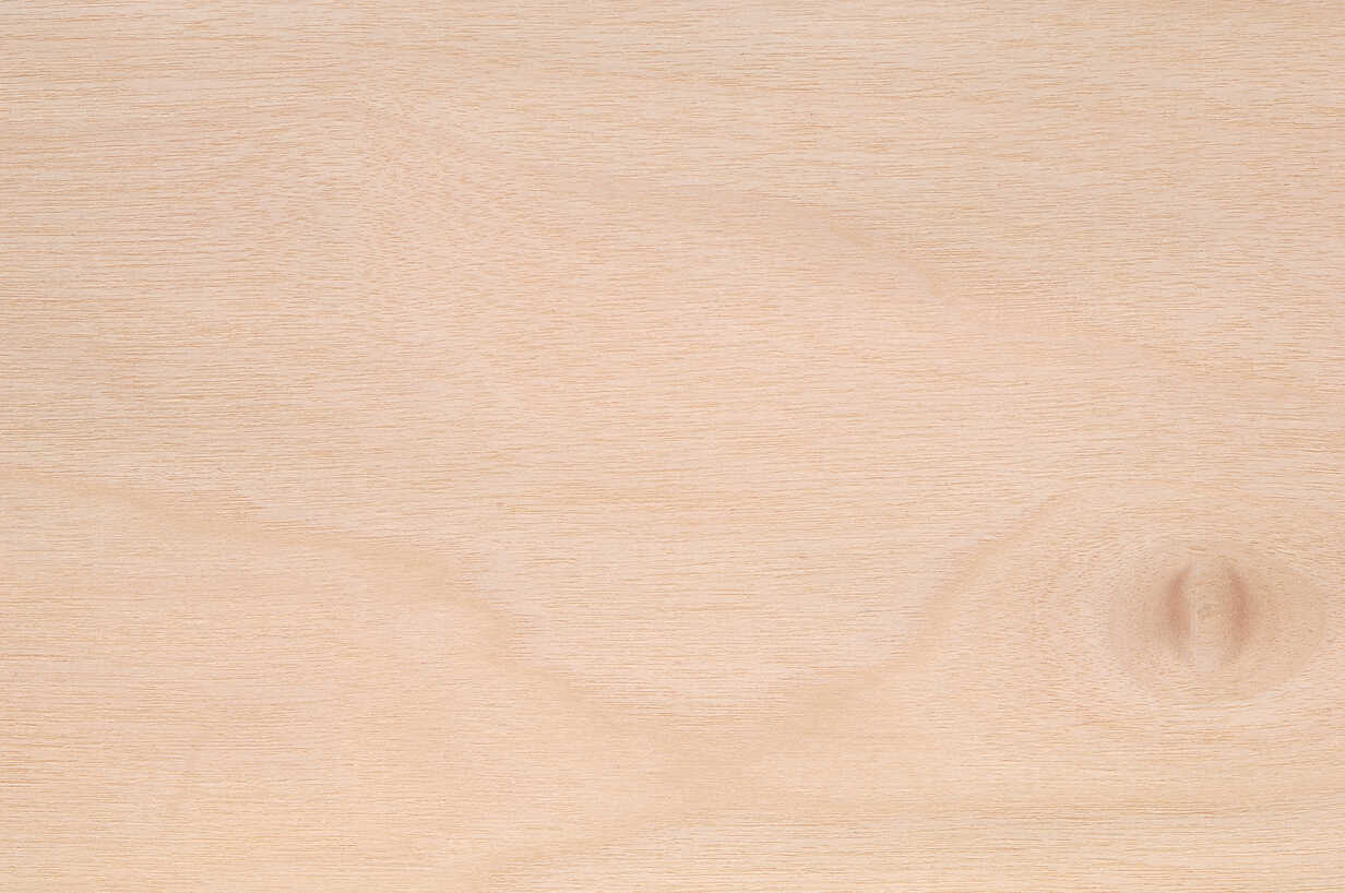 Wood Surface Birch Wood Betula Spp Full Frame Crf Claudia Rehm Westend61
