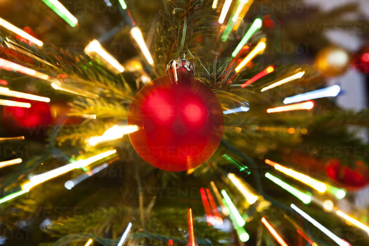 Red Christmas Bauble Hanging On Tree Close Up Stockphoto