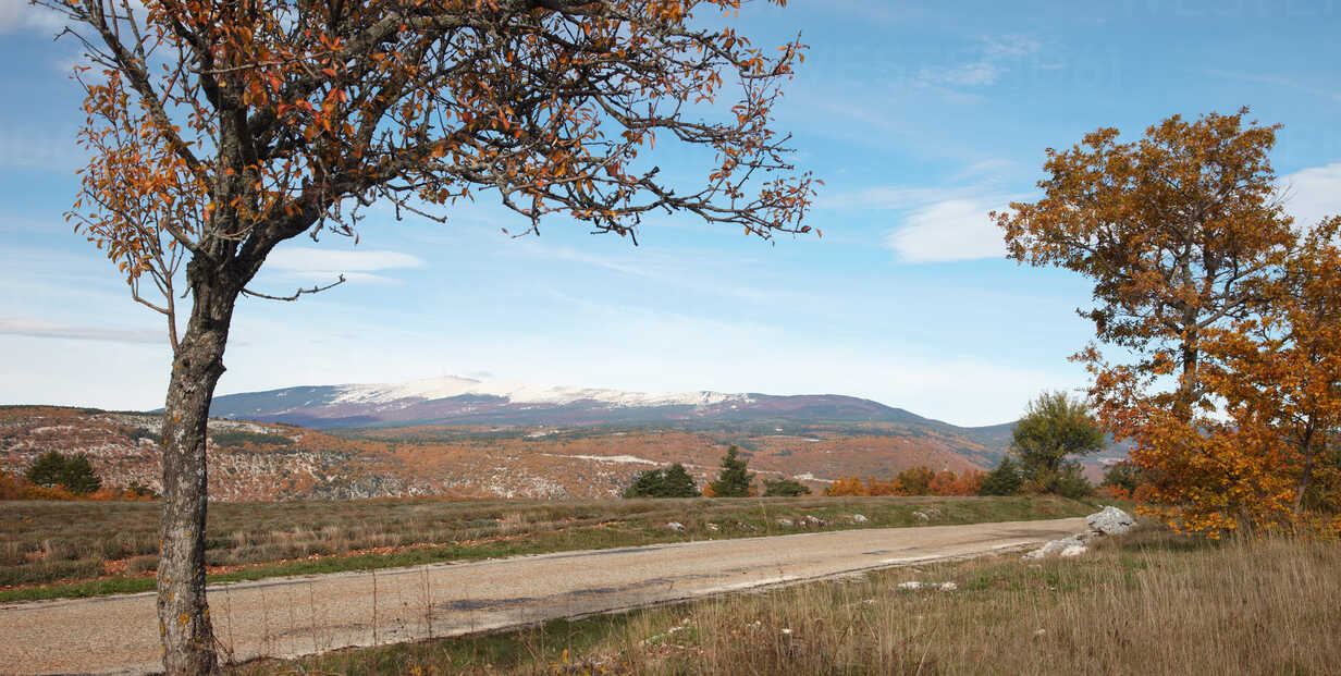 France View Of Mont Ventoux In Autumn Dhl Heinz Linke Westend61