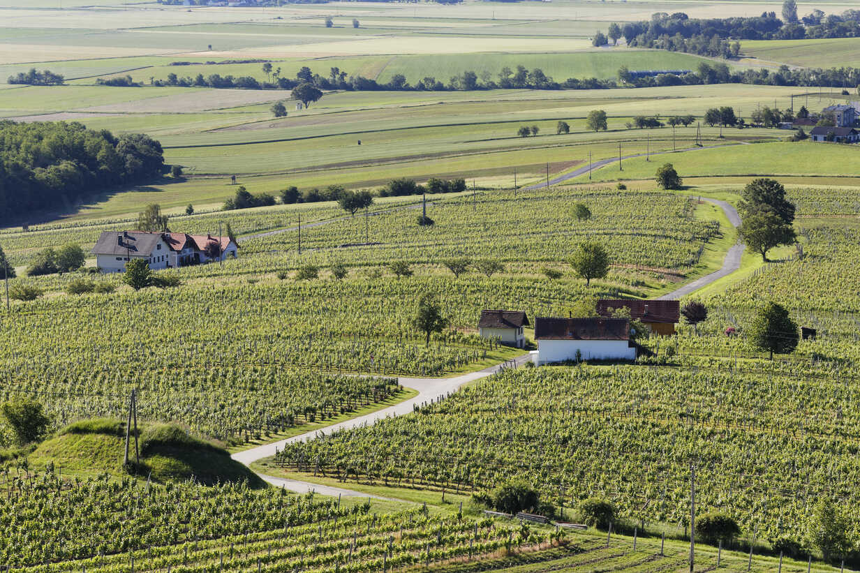 Osterreich Burgenland Bezirk Oberwart Eisenberg An Der Pinka Weingut Sief005588 Martin Siepmann Westend61