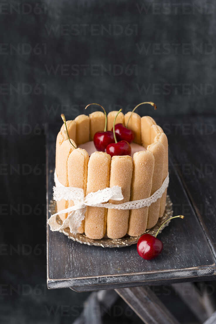 Homemade Cherry Cake With Ladyfingers Myf01947 Mandy Reschke Westend61