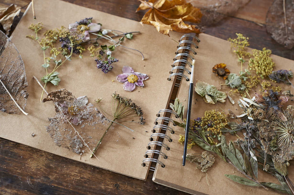 Dried Flowers And Herbs On Notebook Stockphoto