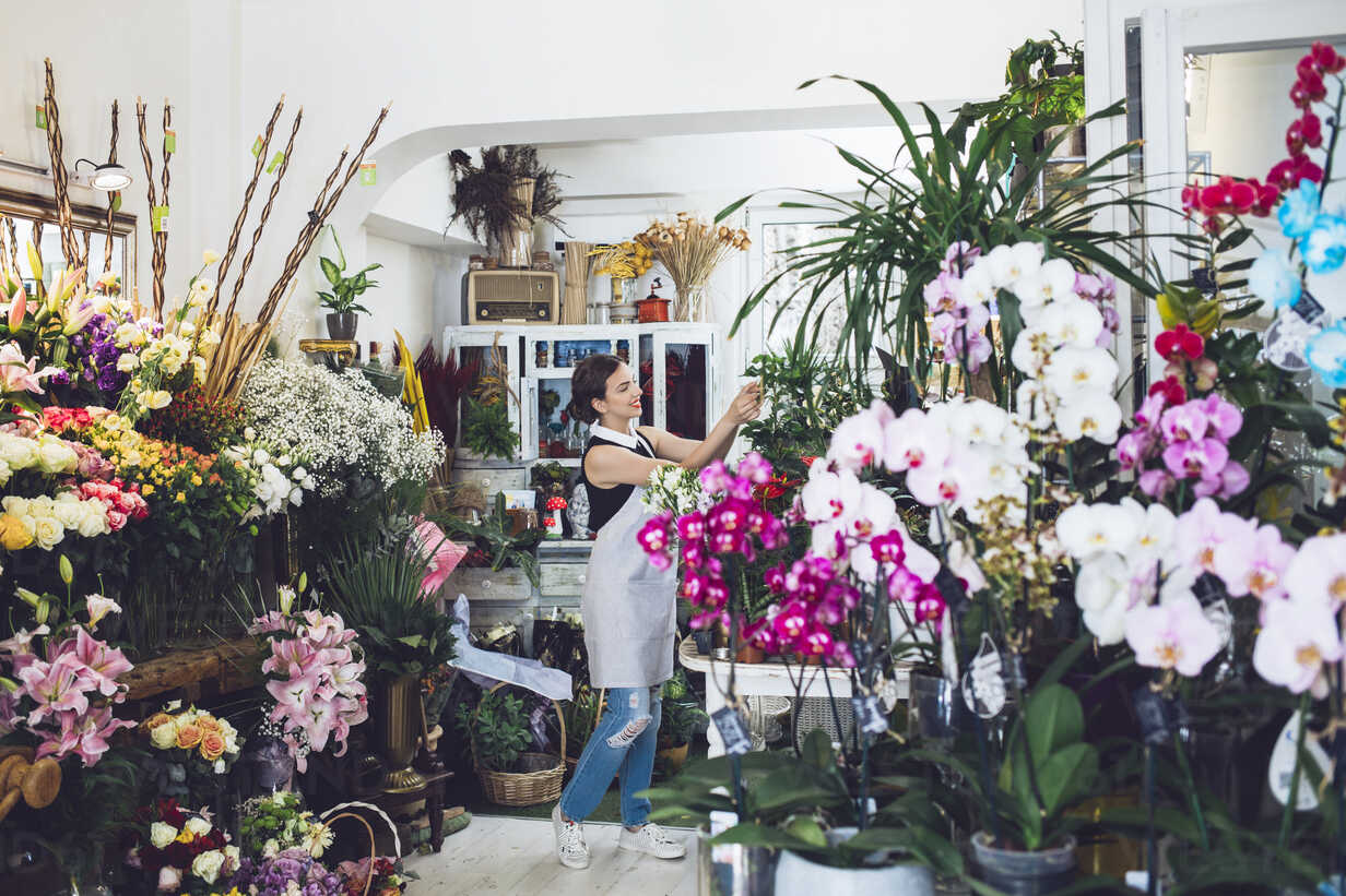 Female Florist Working In Flower Shop Cavf Cavan Images Westend61