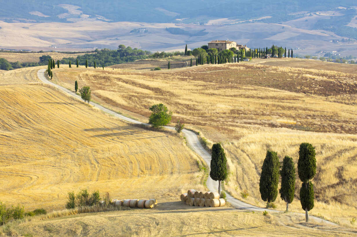 Cypress Trees And Fields In The Afternoon Sun At Agriturismo Terrapille Gladiator Villa Near Pienza In