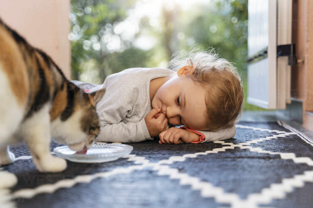 Cute Toddler Girl Watching Cat Drinking From Bowl Stockphoto