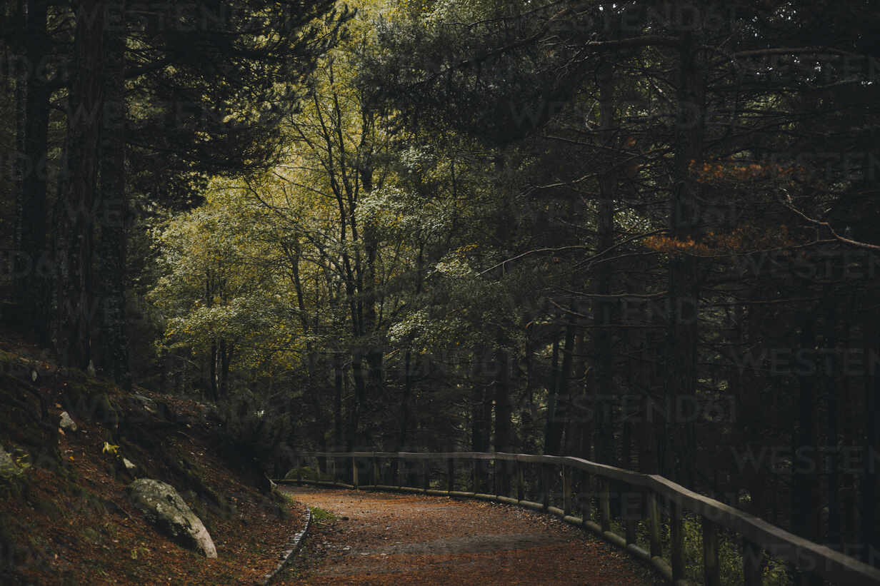Empty Footpath In Autumn Forest Acpf Aitor Carrera Porte Westend61